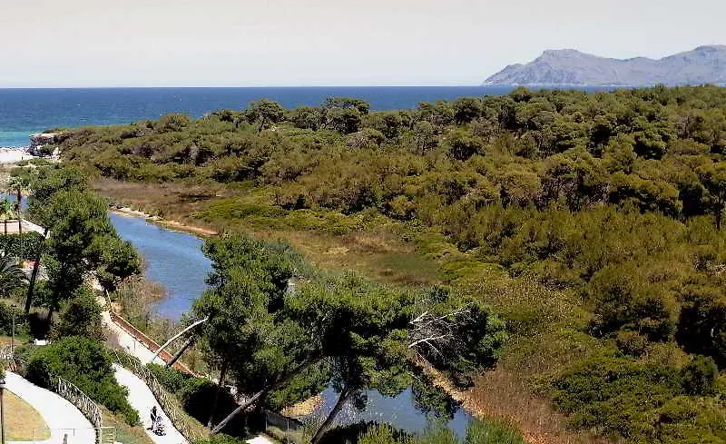 Exagon Park Hotel Can Picafort  4*, Can Picafort (Mallorca)
